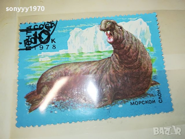 МАРКА 10 1978 СССР МОРСКОЙ СЛОН 1303231548, снимка 6 - Филателия - 39984954
