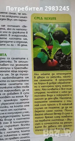 Комплект стари списания , снимка 4 - Списания и комикси - 56242666