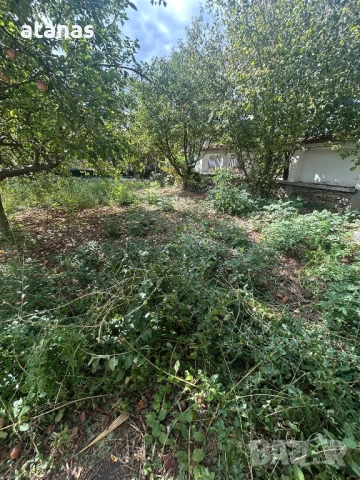 Оране фрезоване и мулчиране на дворове, снимка 4 - Други услуги - 53048896