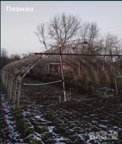 Продавам оранжерия, снимка 2 - Оранжерии - 52964266