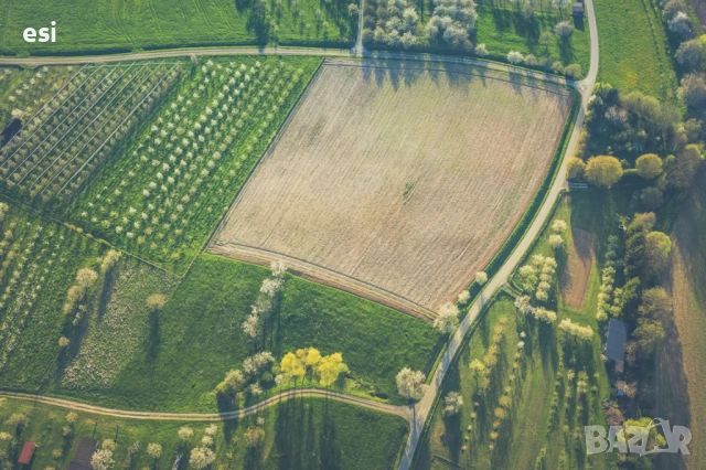 Земеделска земя – с. Рояк, общ. Дългопол, рента 100 лв., снимка 2 - Земеделска земя - 53421165