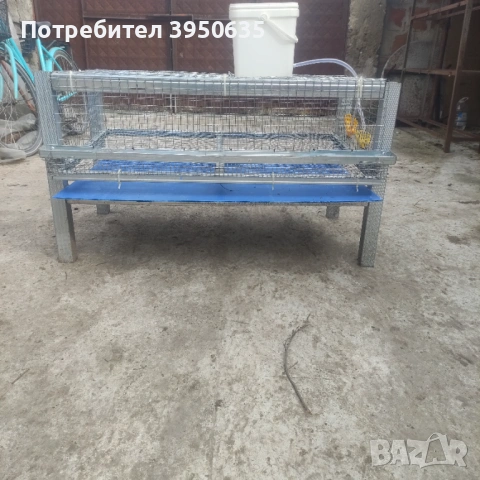 Пъдпъдъци , снимка 4 - други­ - 53696198