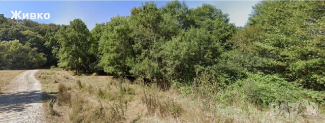 Уникален имот на брега на р.Велека, с.Синеморец, снимка 2 - Парцели - 41970567