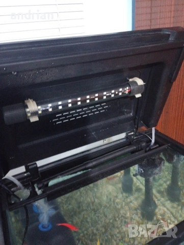 аквариум, снимка 3 - Аквариуми - 53656446