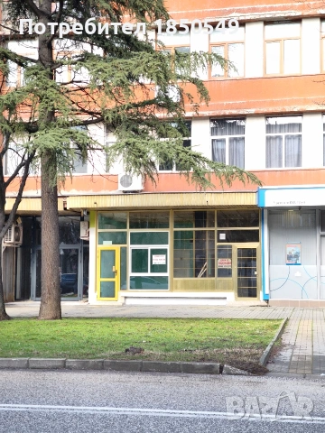 Давам под наем търговски обект в центъра на Димитровград, на бул. Раковски 19, до ОББ, снимка 4 - Магазини - 53228896
