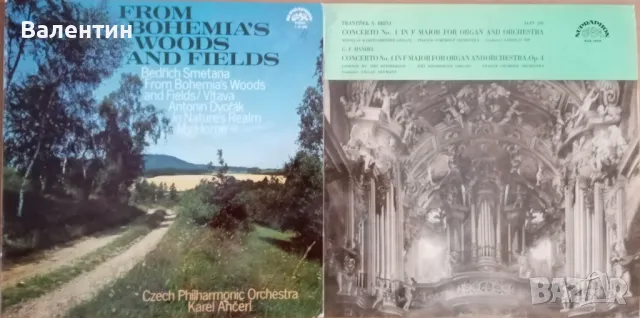 Грамофонни плочи с класическа музика, снимка 6 - Грамофонни плочи - 49057879