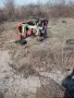 култиватор, сеялка, плуг, снимка 9