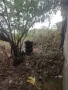 Къща в село Отец Паисиево, снимка 5