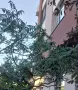 Апартамент до НБУ, снимка 2