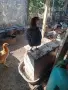 млади кокошки носачки и петли , снимка 7