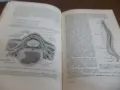 Книга..........., снимка 3