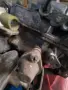 Карбуратор Pierburg 2E за VW Golf & Jetta Mk2 1600см3, снимка 8