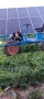 Косене на трева във фотоволтаични паркове (ФЕЦ), снимка 13