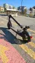 Електрическа тротинетка Xiaomi Mi Scooter Essential, снимка 10