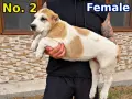 САО Алабай (КВ) , снимка 7