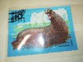 МАРКА 10 1978 СССР МОРСКОЙ СЛОН 1303231548, снимка 6