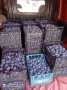 Продавам сладки и едри сливи за ракия – сорт Стенлей!, снимка 1