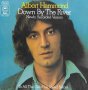 Грамофонни плочи Albert Hammond ‎– Down By The River 7" сингъл, снимка 1 - Грамофонни плочи - 42086629