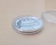 999 Сребърна късметлийска паричка 10 грама, снимка 3