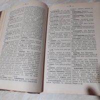 Антикварна царска книга "Ениклопедически речникъ", снимка 4 - Антикварни и старинни предмети - 39664003