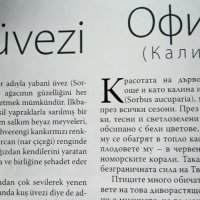 Юмит – двуезично списание на български и турски език, бр.162 от август 2011 г., снимка 3 - Списания и комикси - 33949091