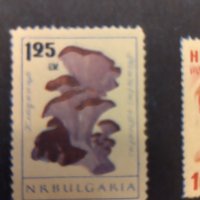 Пощенски марки чисти 16 броя .  , снимка 7 - Филателия - 41535104