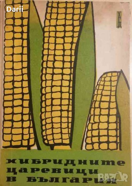 Хибридните царевици в България, снимка 1