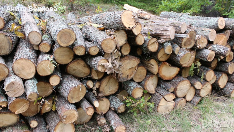 Дърва метровки, снимка 1