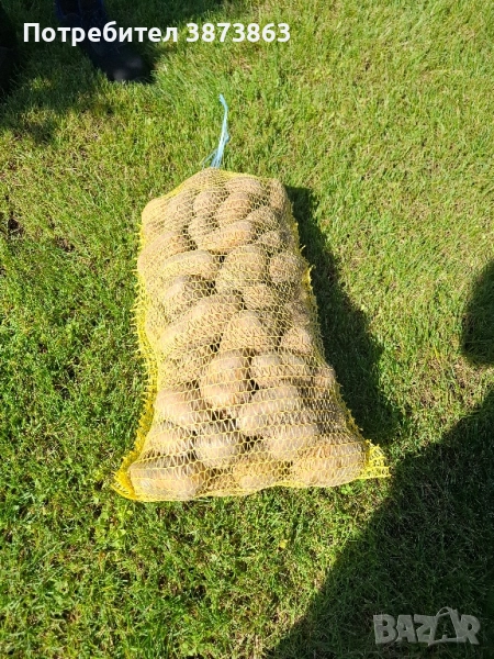 картоф на едро и дребно , снимка 1