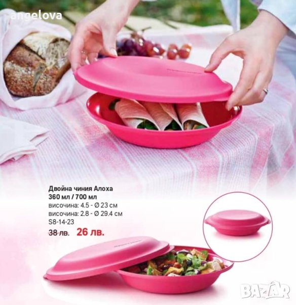 Двойна чиния Алоха, снимка 1