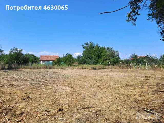 Селски имот в село Ливада, снимка 6 - Парцели - 52146162
