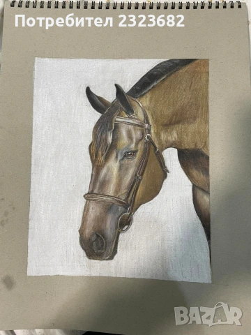 продавам рисунка кон