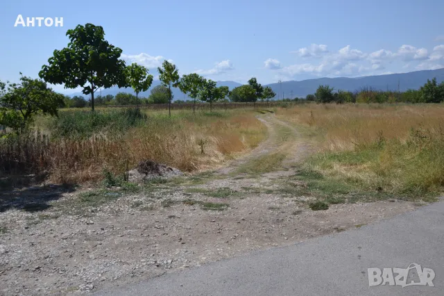 Продава ПАРЦЕЛ, с. Катуница, област Пловдив, снимка 4 - Парцели - 47807016