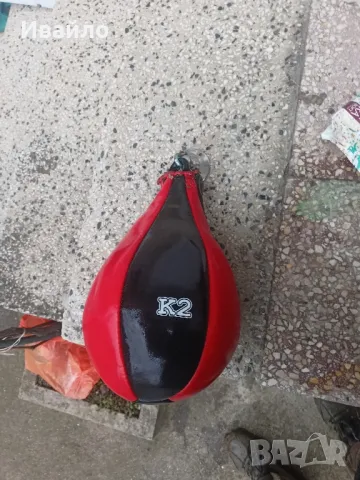 Бърза круша , снимка 1