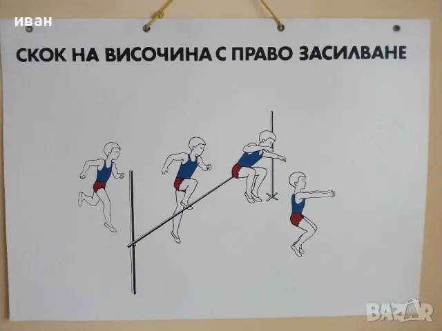 Стари учебни табла 4бр. 70см. х 50см, снимка 4 - Други ценни предмети - 49519316