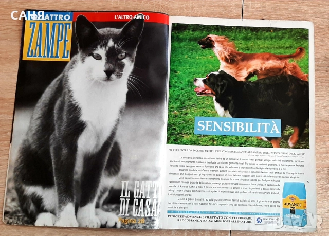 Списания за животни и Готварската книга на Флинстоун, снимка 4 - Детски книжки - 53224871