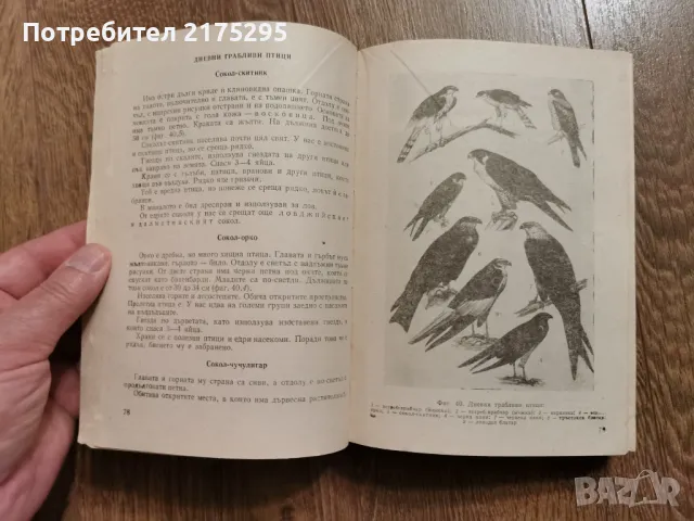 Наръчник на ловеца и риболовеца-Земиздат 1974г., снимка 14 - Специализирана литература - 49699300