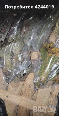 Чай, снимка 6 - Други - 52951120