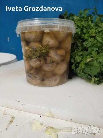 Туршии , снимка 4 - Други - 52675869