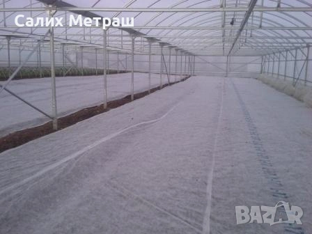 Разсад за пипер, разсад за домати и др., снимка 7 - Разсади - 53056101