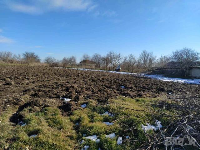 Продава парцел в регулация в с. Кривня