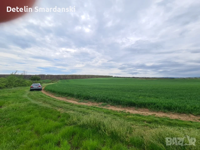 Поземлен земеделски имот , снимка 9 - Земеделска земя - 50649780