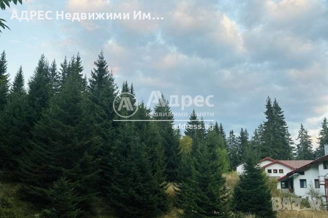 ПАРЦЕЛ за Инвестиция - Пампорово, снимка 4 - Парцели - 42339629