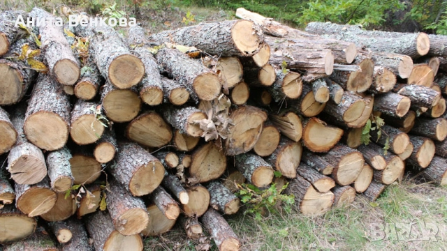 Дърва метровки