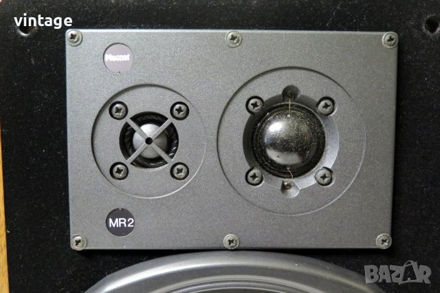 Magnat MIG-Ribbon 2A, снимка 5 - Тонколони - 41723797