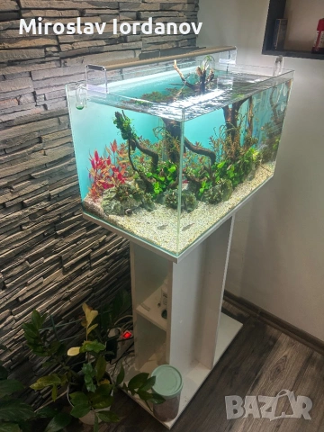Аквариум с шкаф пълен сет, снимка 3 - Аквариуми - 53290868