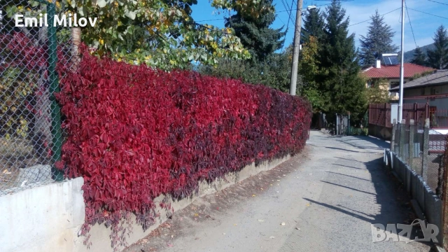 Кокаляне Къща, снимка 8 - Вили - 51581188