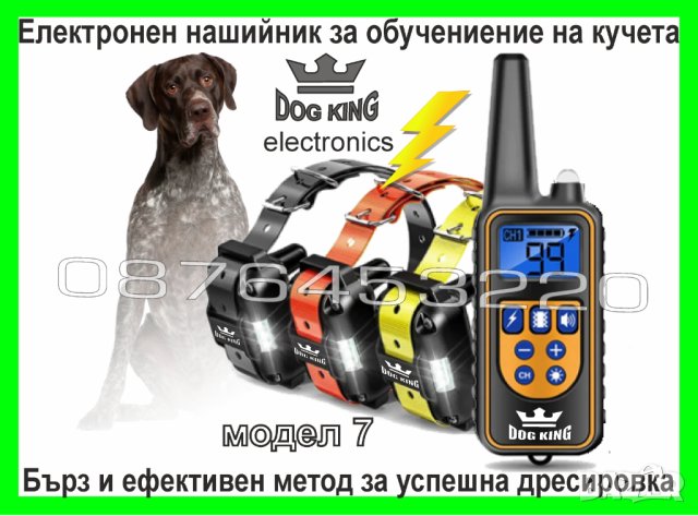 Електронен нашийник за куче, снимка 1 - За кучета - 40962769