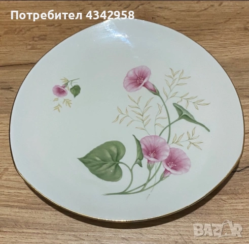 Антикварни порцеланови чинии Carl Schumann Bavaria (1918–1929 г.)  , снимка 2 - Антикварни и старинни предмети - 53648384