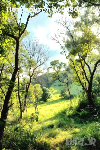 Продава парцел 648 м2 с нова къща 40 м2, снимка 15 - Къщи - 53639862